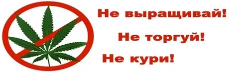 Памятка населению по выявлению и уничтожению дикорастущих наркосодержащих растений