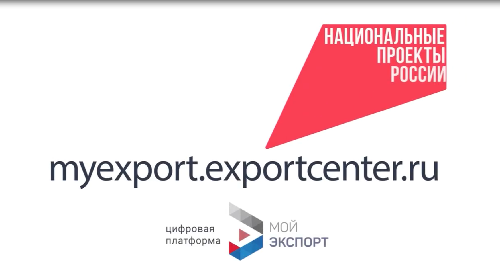 Цифровая платформа «Мой экспорт»: новые возможности для бизнеса