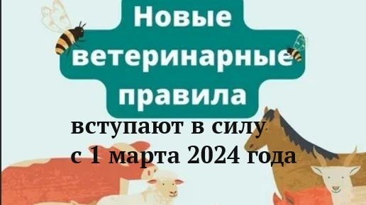 В России с 1 марта этого года вступают в силу большинство положений ветеринарных правил маркирования и учета животных