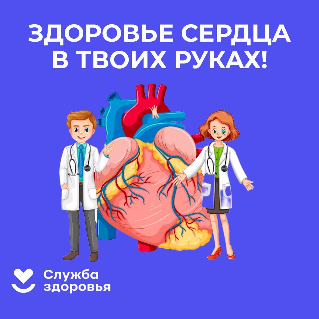 Чтобы «пламенный мотор» не барахлил: саратовские врачи дали простые советы, как обезопасить сердце